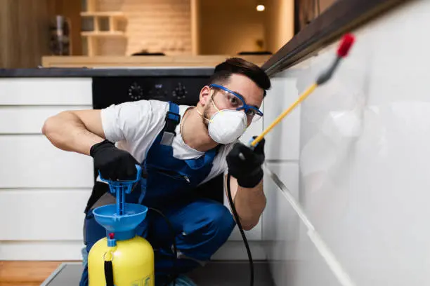 أفضل شركة مكافحة حشرات في أبو ظبي – الوادي المضيء رقم 1