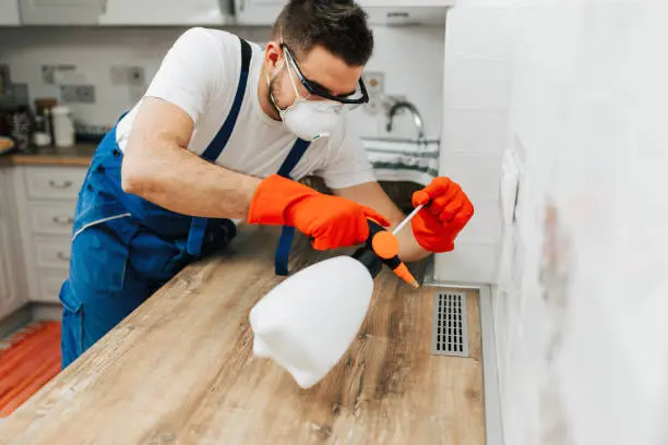 "تعقيم بعد خدمة التنظيف"